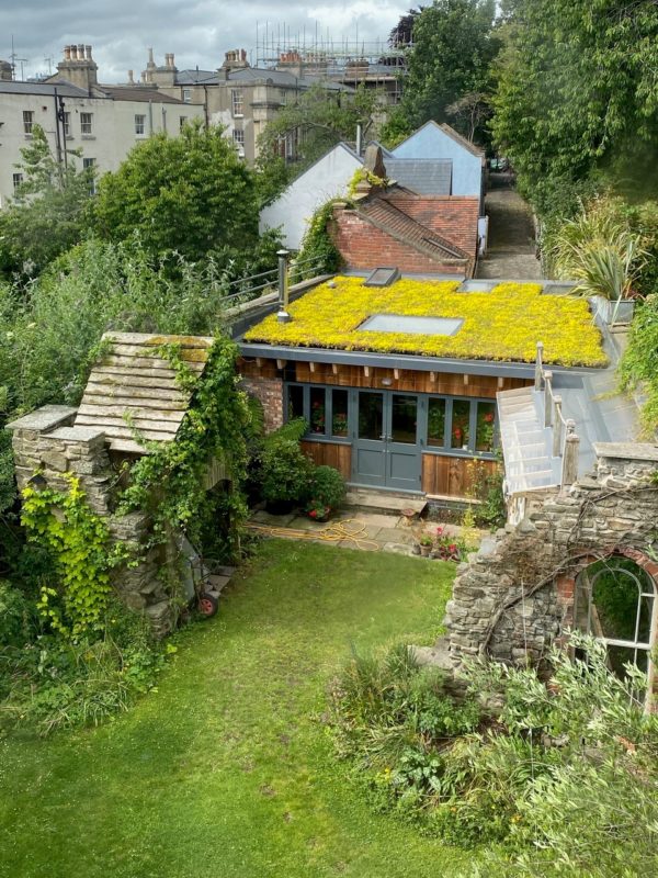 green sedum roof